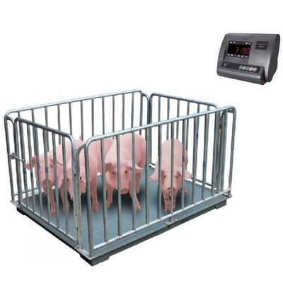 動物用の電子床秤 1M 2t 豚秤 3t 羊牛 精度 0.5kg